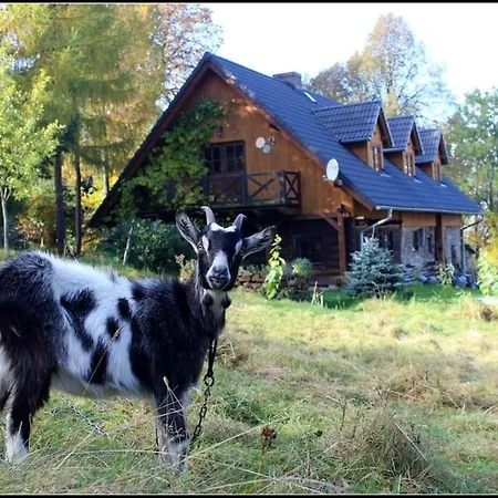 Galeria Kozia Szyja דירה *