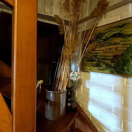 Daire Galeria Kozia Szyja *