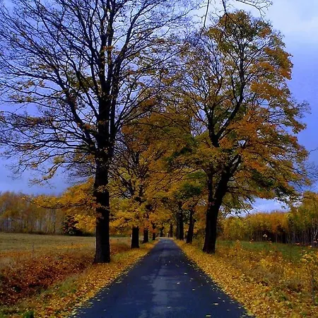 Galeria Kozia Szyja דירה *
