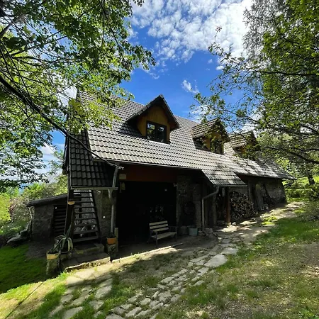 Galeria Kozia Szyja شقة Kopaniec
