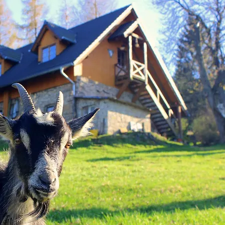 Galeria Kozia Szyja * Kopaniec