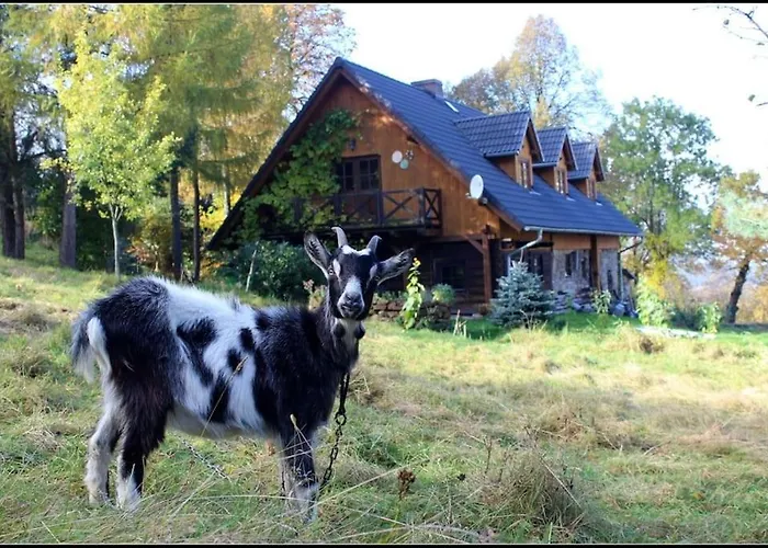 Galeria Kozia Szyja Διαμέρισμα *