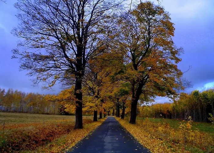 Galeria Kozia Szyja Διαμέρισμα *