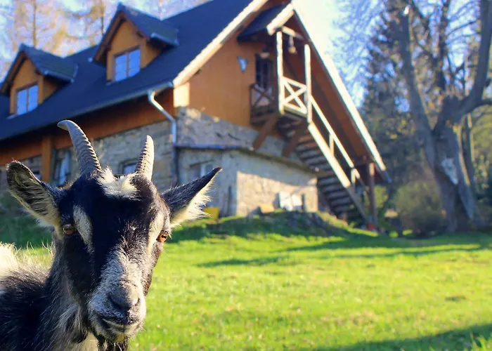 Galeria Kozia Szyja * Kopaniec