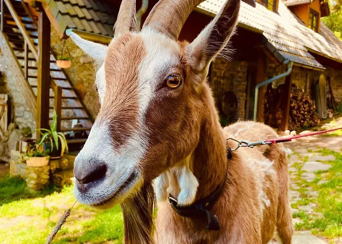 Διαμέρισμα Galeria Kozia Szyja *